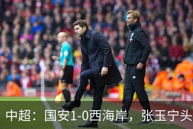 中超：国安1-0西海岸，张玉宁头槌，法比奥伤退