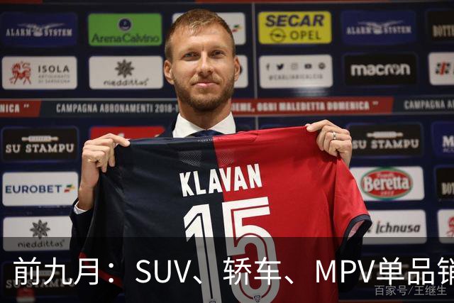 前九月：SUV、轿车、MPV单品销量Top20盘点