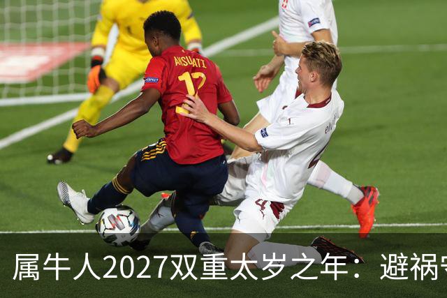 属牛人2027双重太岁之年：避祸守福，实用完整指南