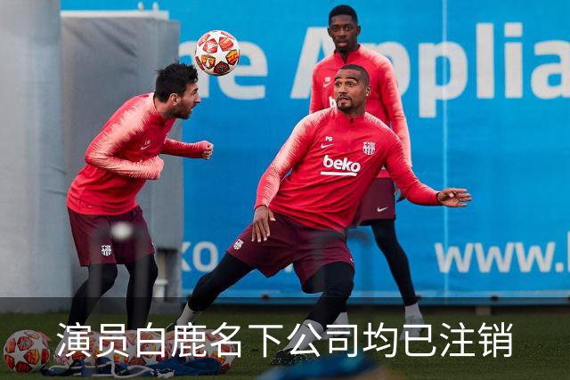 演员白鹿名下公司均已注销