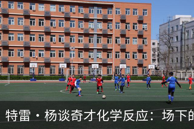 特雷·杨谈奇才化学反应：场下的凝聚力需转化为场上稳定发挥