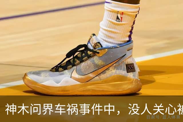 神木问界车祸事件中，没人关心被烧死的那个人