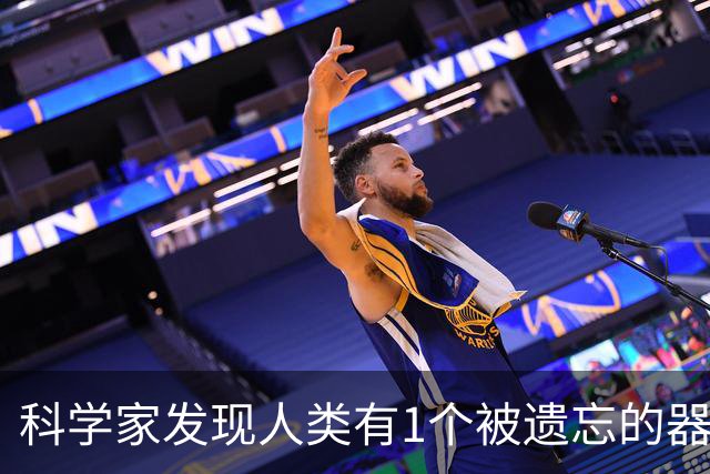 科学家发现人类有1个被遗忘的器官，它原来可以用来预测寿命