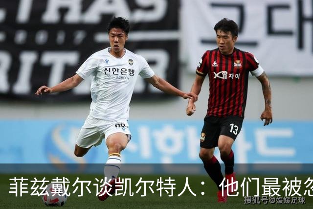 菲兹戴尔谈凯尔特人：他们最被忽视 却依然将目光紧盯总冠军