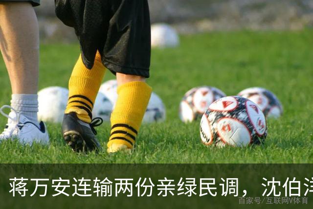 蒋万安连输两份亲绿民调，沈伯洋却笑不出来，洋流摧毁民进党选情