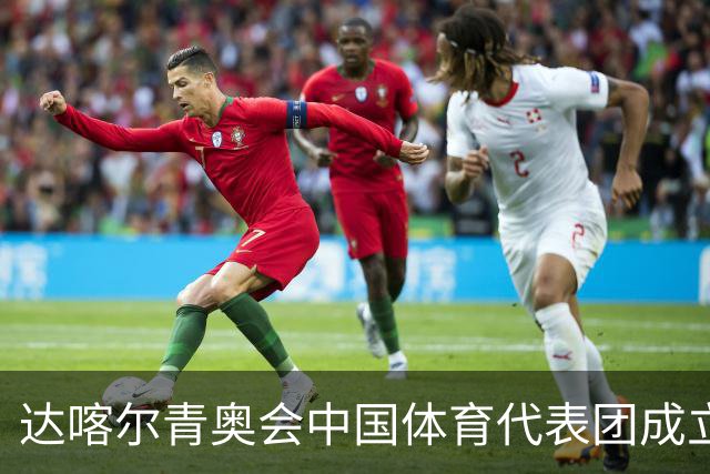 达喀尔青奥会中国体育代表团成立