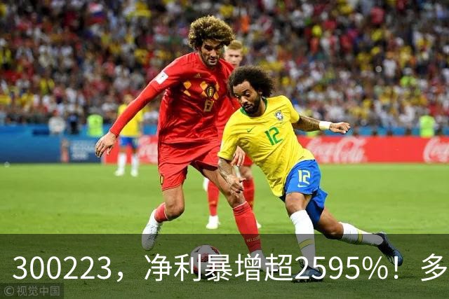 300223，净利暴增超2595%！多家A股公司业绩爆发