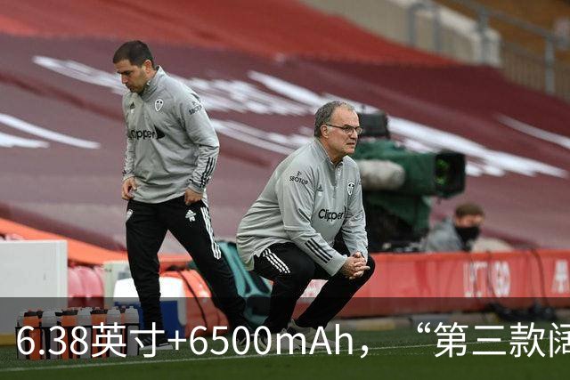 6.38英寸+6500mAh，“第三款阔直板”亮相，外观与第一款基本一致